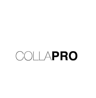 Trademark COLLAPRO