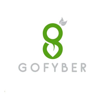 Trademark GOFYBER