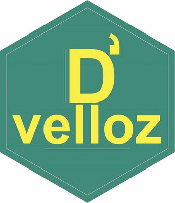 Trademark D'VELLOZ