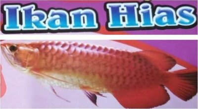 Trademark IKAN HIAS DAN LUKISAN IKAN