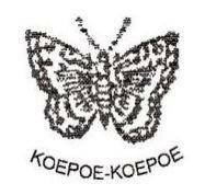 Trademark KOEPOE-KOEPOE DAN LUKISAN