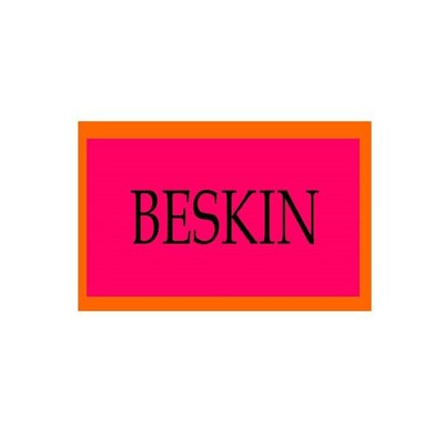 Trademark BESKIN