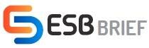 Trademark ESB BRIEF & Logo