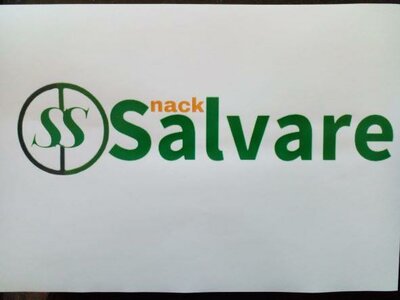 Trademark Salvare Sncak