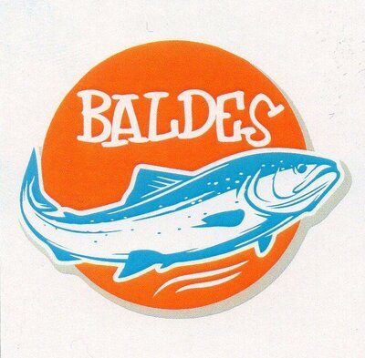 Trademark BALDES + LOGO