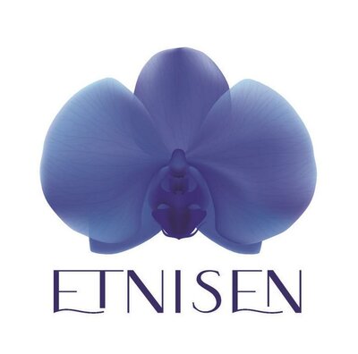 Trademark ETNISEN + logo