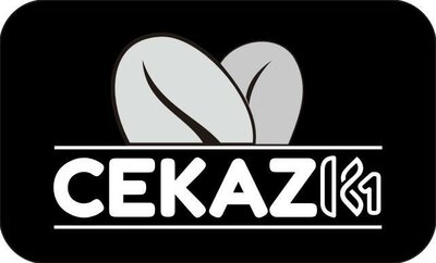 Trademark CHEKAZ K1