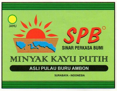 Trademark SPB SINAR PERKASA BUMI + LUKISAN