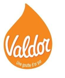 Trademark VALDOR