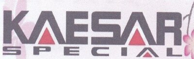 Trademark KAESAR SPECIAL DAN LOGO