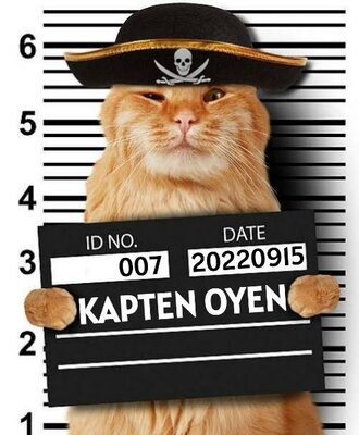 Trademark KAPTEN OYEN