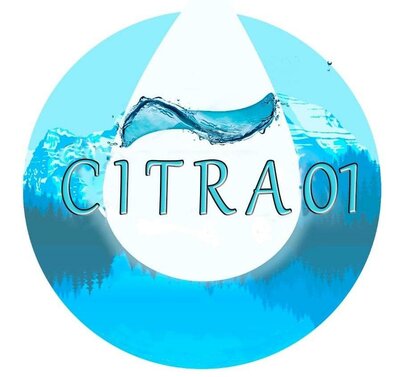 Trademark CITRA 01