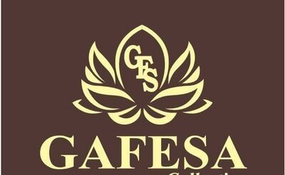 Trademark GAFESA