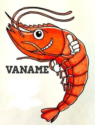 Trademark Vaname