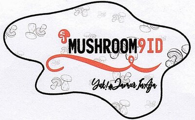 Trademark MUSHROOM9ID