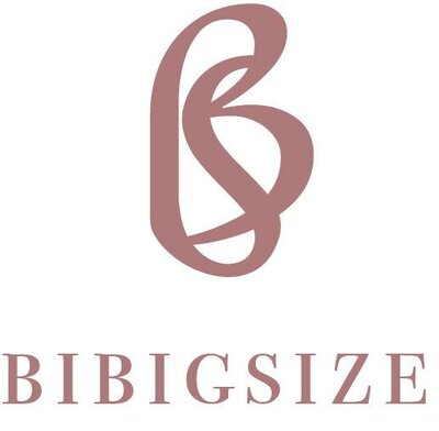 Trademark BIBIGSIZE + LOGO