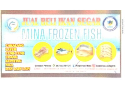 Trademark Mina Frozen Fish