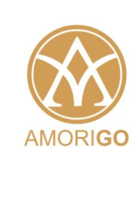 Trademark AMORIGO + LOGO