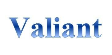 Trademark VALIANT