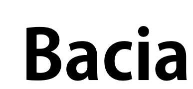 Trademark Bacia