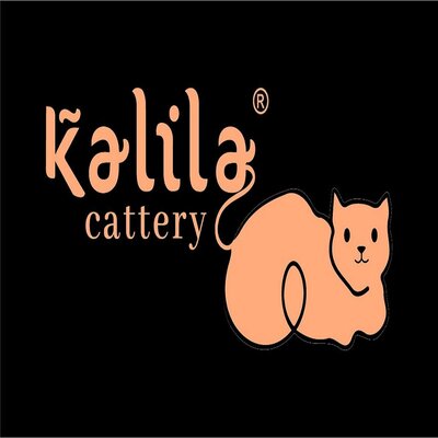 Trademark KALILA CATTERY