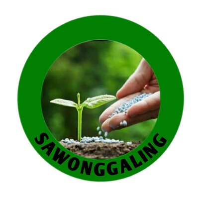 Trademark SAWONGGALING