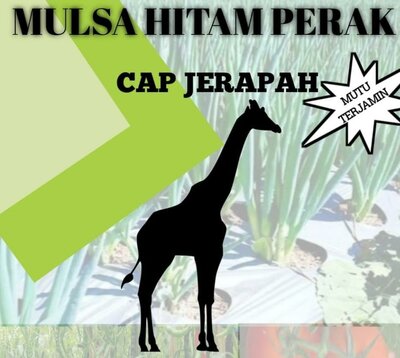 Trademark MULSA HITAM PERAK CAP JERAPAH