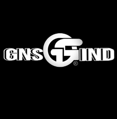 Trademark GNS IND