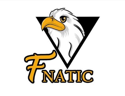 Trademark FNATIC + LOGO