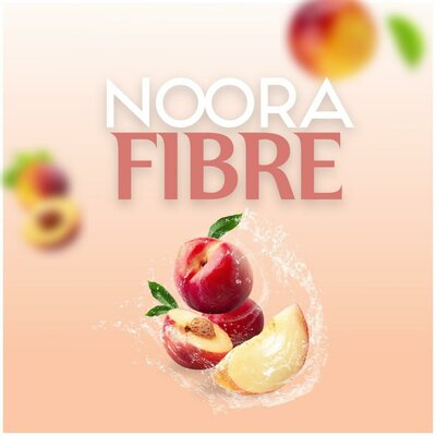 Trademark NOORA FIBRE