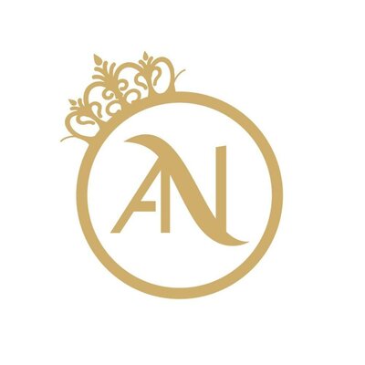 Trademark AN + LOGO