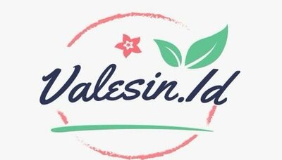 Trademark VALESIN.ID