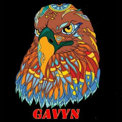 Trademark GAVYN