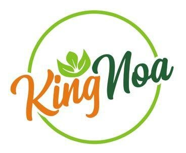 Trademark KINGNOA + LOGO