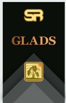 Trademark SR GLADS