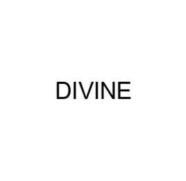 Trademark DIVINE