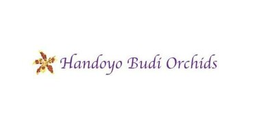 Trademark Handoyo Budi Orchids