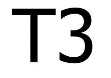 Trademark T3