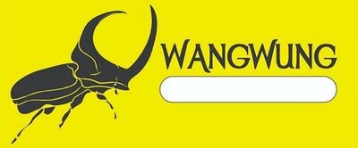 Trademark WANGWUNG+ LOGO