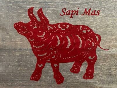 Trademark SAPI MAS + LOGO