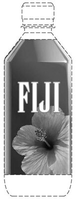 Trademark FIJI LARGER HIBISCUS FLOWER & BOTTLE DESIGN