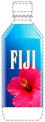 Trademark FIJI LARGER HIBISCUS FLOWER & BOTTLE DESIGN