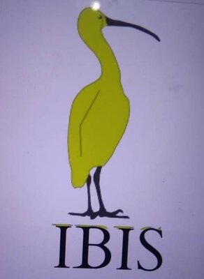 Trademark IBIS