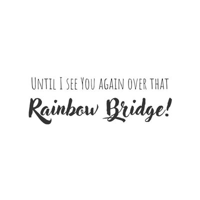 Trademark UNTILL I SEE YOU AGAIN OVER THAT RAINBOW BRIDGE!