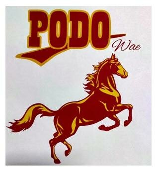 Trademark PODO WAE + LOGO