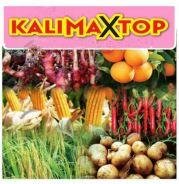 Trademark KALIMAXTOP DAN LUKISAN