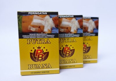 Trademark PUTRA BUANA