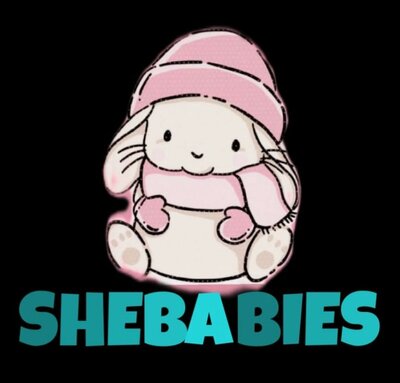 Trademark SHEBABIES