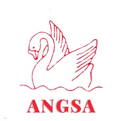 Trademark ANGSA