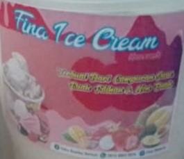 Trademark Fina Ice Cream